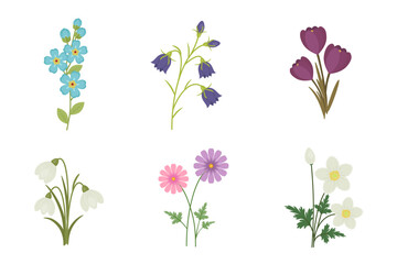 Spring flowers botanical clipart vector set with snowdrops, crocus, bellflower, anemone, cosmos and forget me not isolated on white background
