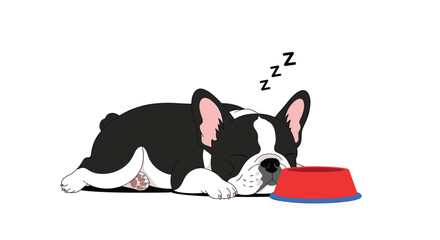 Adorable sleeping black and white French Bulldog puppy napping peacefully beside its empty red food bowl with zzz above.