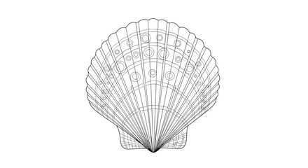 Intricate black and white line art illustration of a detailed scallop shell showcasing its characteristic ribbed pattern and curves.