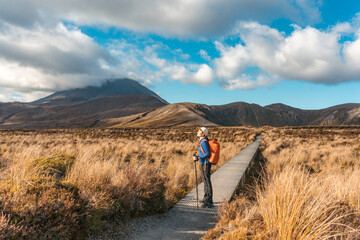 Female hiker hiking in Tongariro alpine track surrounded by golden meadow and volcano under blue sky in autumn at New Zealand