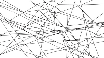 A detailed black and white botanical illustration of plants and flowers in a traced line art style