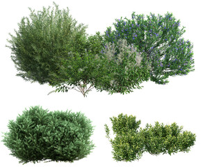 Green Shrubs and Bushes Isolated on Black Background