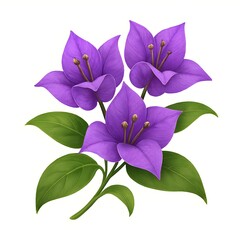 Beautiful violet and purple flower blossom isolated on white background, a macro of a blooming spring plant with pink petals and green leaf for garden beauty