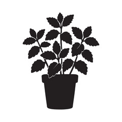 Stylized silhouette of a lush potted herb plant, perfect for kitchen garden concepts or natural healthy lifestyle designs, illustrating growth and organic freshness
