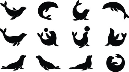 Black seal and sea lion silhouettes set featuring aquatic animals in various poses like swimming jumping and balancing a circus ball on nose © Taslima
