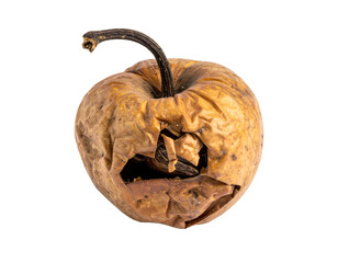 Shriveled rotten apple fruit with cracked skin and hollow decay dried spoiled food close up on isolated background