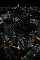 Obraz premium Tokyo Night Skyline from Metropolitan Government Building
