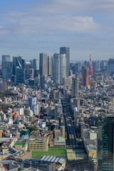 Fototapeta premium Tokyo Cityscape from Shibuya Sky Rooftop Observation Deck