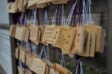 Wish boards at Meiji Jingu Shrine in Tokyo, Japan