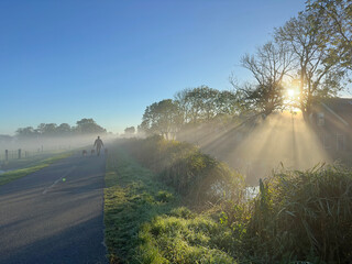 Morning walk with dogs in fog along a canal near trees and house