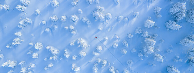 Top down aerial view of a ski mountaineer crossing a pristine winter landscape. Snow covered trees cast long shadows, creating an abstract, minimalist pattern with a sense of solitude and adventure.