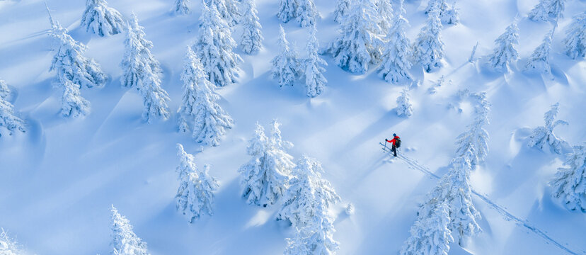 Ski mountaineer touring through a snow covered alpine forest in winter. Pristine landscape with frosted trees, deep snow, and soft winter light, expressing adventure, solitude, and freedom. - Powered by Adobe