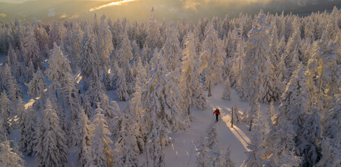 Ski mountaineer walking through a snow-covered forest at sunrise. Golden light illuminates frosted trees, creating a peaceful winter adventure scene with strong sense of freedom and solitude.