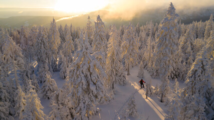 Ski mountaineer walking through a snow-covered forest at sunrise. Golden light illuminates frosted trees, creating a peaceful winter adventure scene with strong sense of freedom and solitude.
