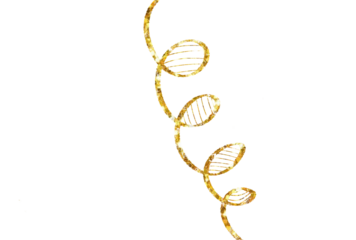 Elegant Gold Glitter Scribble Line Isolated