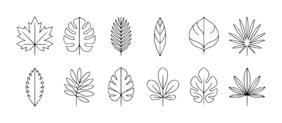 Collection of stylized black outline leaf a white background plant nature