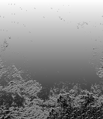 Abstract forest texture with monochrome gradient background