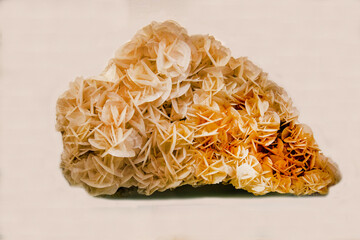 Calcite with crystals in the form of yellow petals on a light background. Gems, mineralogy, jewelry.
