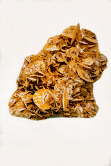Calcite with crystals in the form of yellow petals on a light background. Gems, mineralogy, jewelry.