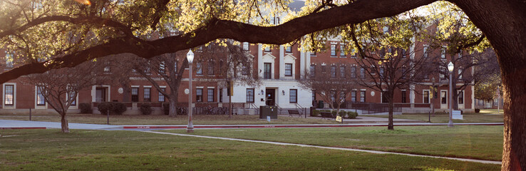 Panorama view sprawling oak tree fills foreground, casting layered shadows across green lush lawn. Brick academic buildings and branches, create peaceful outdoor retreat for students, Waco, TX