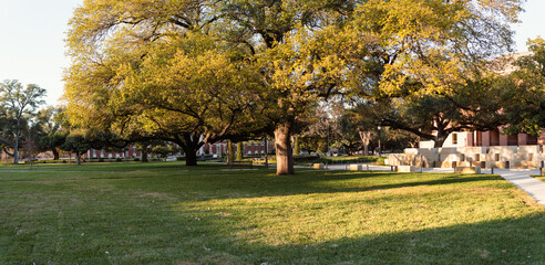 Panorama view shaded lawn beneath sprawling tree branches features geometric stone benches, pathway. Red-brick buildings with white trim frame tranquil, landscaped university setting, Waco, Texas