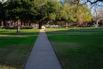 Magnolia and live oak trees, spacious green lawn along straight walkway at front of college campus, academic buildings rise behind sprawling branches casting patterned shadows, Waco, Texas
