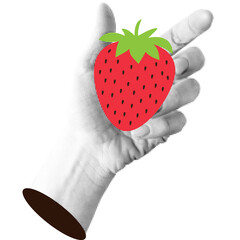 Halftone Hand holding a red strawberry illustration. Paper cutout element