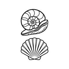 Detailed illustrations of seashells for coastal designs