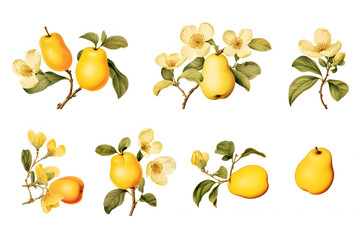 Obraz premium Hand drawn doodle set of Mediterranean lemon tree branches, blossoms, fruits in pots and glass bowls. Perfect for summer prints, packaging, food branding 