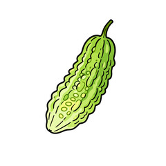 [Vector EPS]Green bitter melon with wavy surface and green stem for culinary use