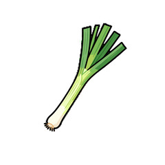 [Vector EPS]Fresh green leek vegetable for cooking and healthy eating
