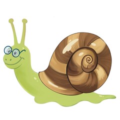 Snail Animal Illustration 