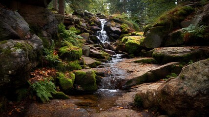 Tranquil Forest Stream Flowing Through Mossy Rocks and Lush Green Woodland.
