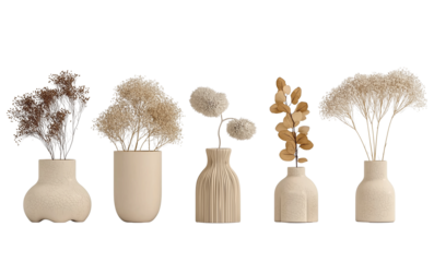 Assortment of Dried Floral Arrangements in Vases dried flowers isolated on a transparent background