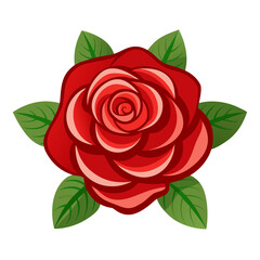 Vibrant red rose with lush green leaves on white background