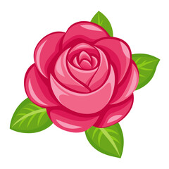 Vibrant pink rose with lush green leaves on white background