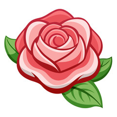 Vibrant pink rose with lush green leaves on white background