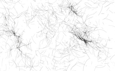 human hair scattered isolated in white background and texture, clipping path