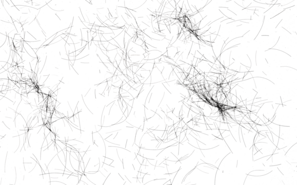 human hair scattered isolated in white background and texture, clipping path - Powered by Adobe