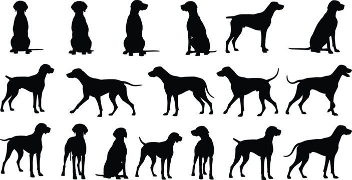 Dog Silhouette Collection, Pet Animal Vector Icons, Black Pointer Hound Shapes, Standing and Sitting Dogs, Canine Fitness Graphics, Domestic Animal Elements, Hunting