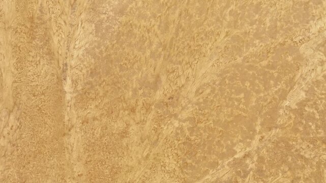 Abstract Aerial Landscape of Dry Earth and Organic Ground Texture