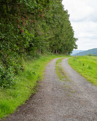 Obraz premium path in the landscape with meadow, trees,sky