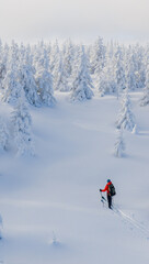Beautiful Winter Mountain Scenery with Man on Cross-Country Skis , Aerial View