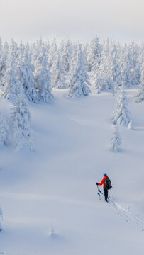 Beautiful Winter Mountain Scenery with Man on Cross-Country Skis , Aerial View