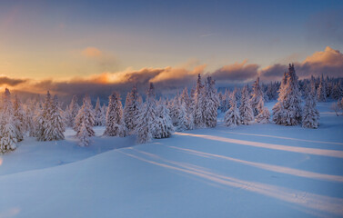 Beautiful Winter Mountain Panorama with Snowy Spruce Trees and Peaks in the Background