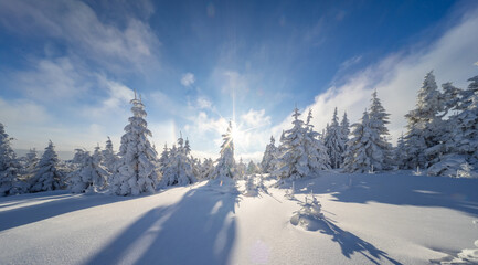 Beautiful Winter Mountain Panorama with Snowy Spruce Trees and Peaks in the Background