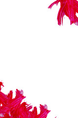 Abstract red brush strokes on transparent background, expressive paint texture for festivals, birthdays, and promotional designs.