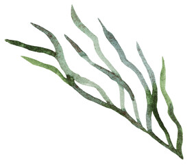 Watercolor twig with light green leaves isolated illustration, pastel wedding stationery element