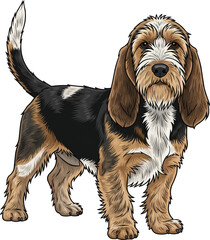 Petit basset griffon vendeen dog standing alert focused facing front