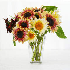 A color mixture of pro cut sunflowers in a glass vase.